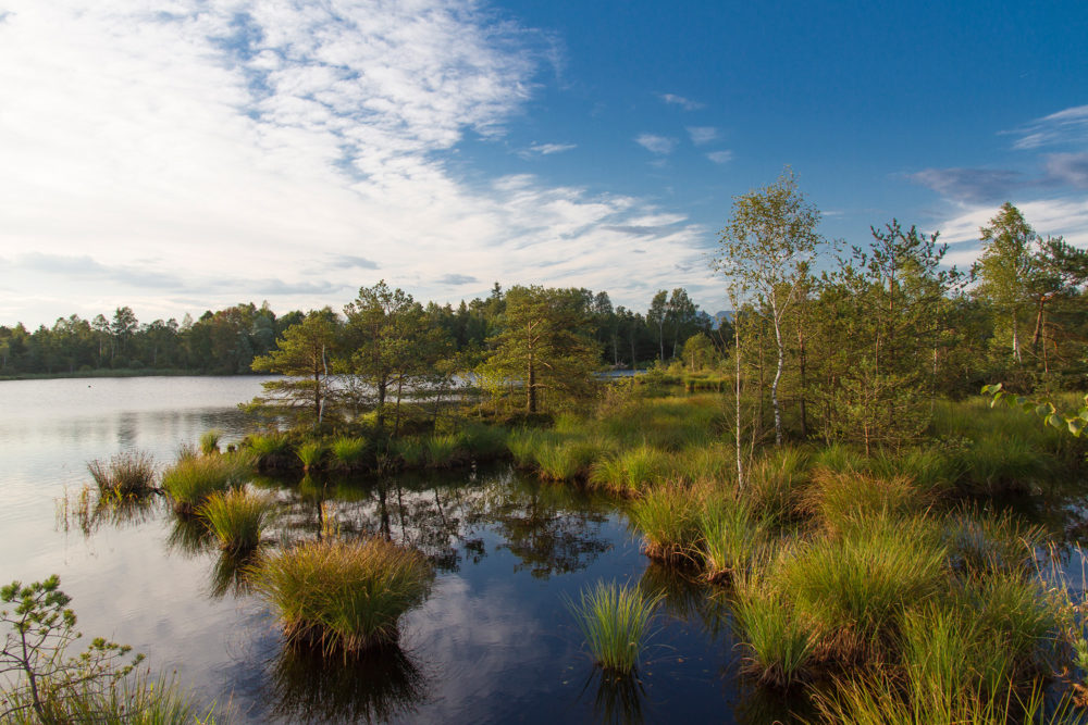 Gemeinde * Gemeinde Petting